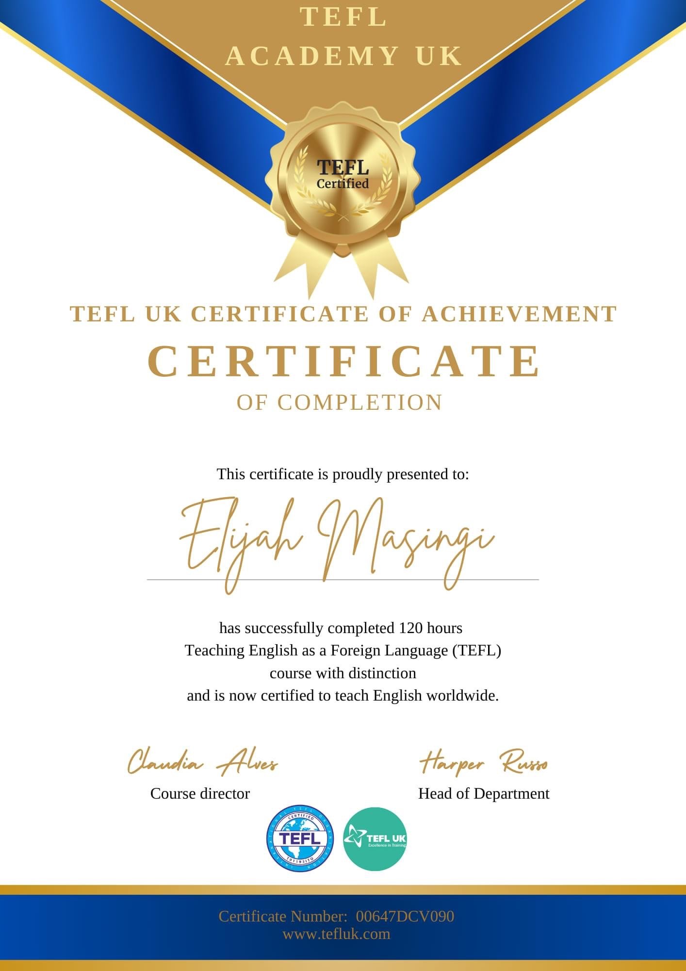 Teaching English Online No Experience!